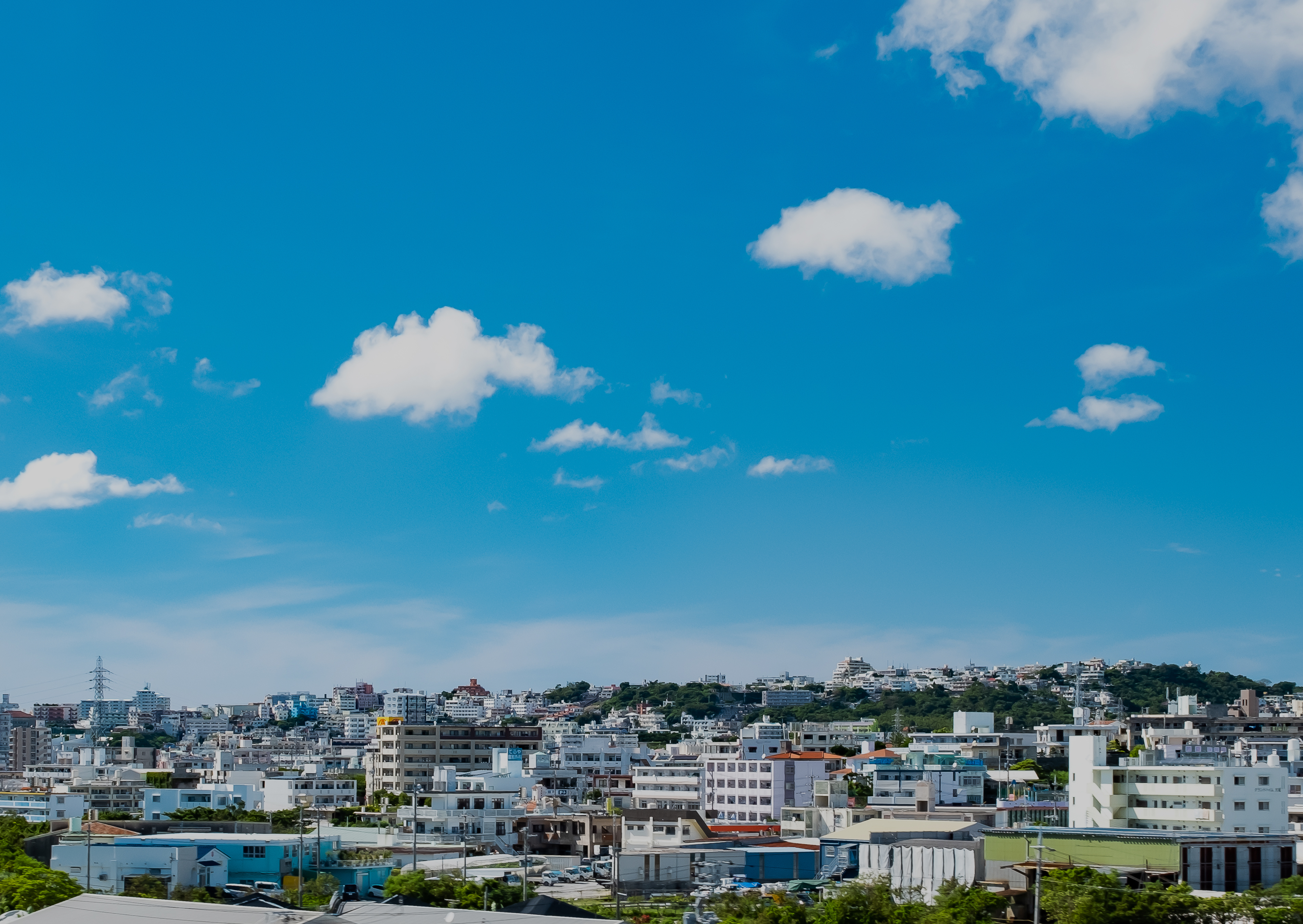 メインビュー背景